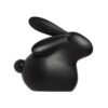 Makeup Revolution Pet Shop Bunny - Liquorice