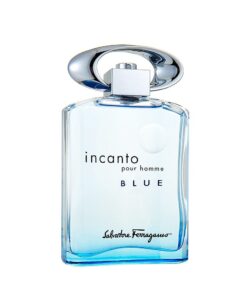 Salvatore Ferragamo Incanto Pour Homme Blue Edt 100ml