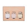 Giftset Britney Spears Fragrance Collection Edp 4x10 ml