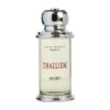 Thallium Sport Edt 100ml