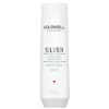 Goldwell Dualsenses Silver Shampoo 250ml