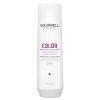 Goldwell Dualsenses Color Brilliance Shampoo 250ml