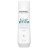 Goldwell Dualsenses Scalp Specialist Anti-Dandruff Shampoo 250ml