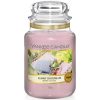 Yankee Candle Classic Large Jar Sunny Daydream 623g