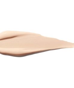 Shiseido Synchro Skin Self Refreshing Concealer 102 6ml