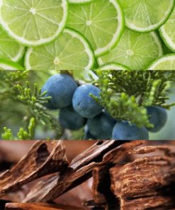 Lacoste Pour Homme Edt 50ml