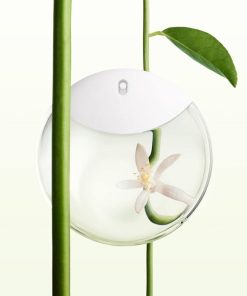 Issey Miyake A Drop d'Issey Edp 50ml