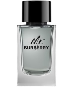 Burberry Mr Burberry Edt 100ml