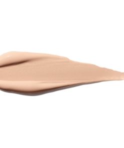 Shiseido Synchro Skin Self Refreshing Concealer 203 6ml