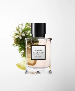 David Beckham Follow Your Instinct Edt 50ml
