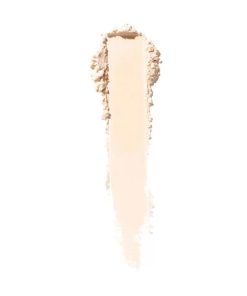 Shiseido Synchro Skin Invisible Silk Loose Powder Matte 6g