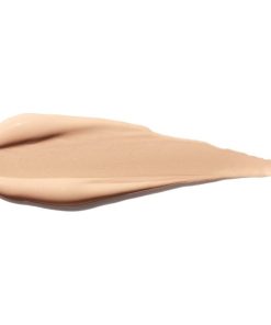 Shiseido Synchro Skin Self Refreshing Concealer 202 6ml