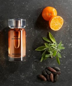 Karl Lagerfeld Les Parfums Matières Bois d'Ambre Edt 100ml