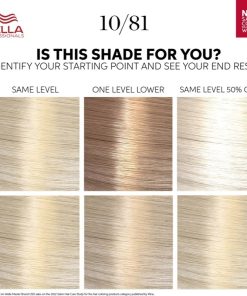Wella Color Touch Rich Naturals 10/81 Platinum Blonde