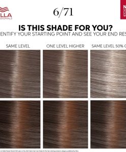 Wella Color Touch Deep Browns 6/71 Medium Maple Brown
