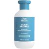 Wella Professionals Invigo Scalp Balance Anti-Dandruff Shampoo 300ml