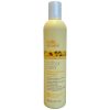 Milk_Shake Color Maintainer Shampoo 300ml