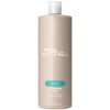 Paul Mitchell Shampoo Two 1000ml